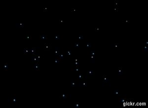 Animated GIF made with Gickr