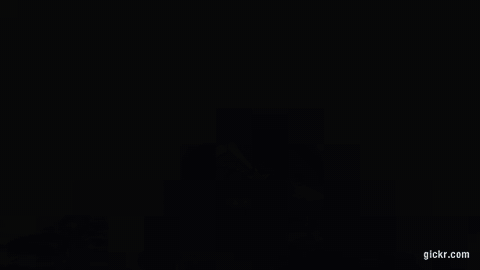 Animated GIF made with Gickr