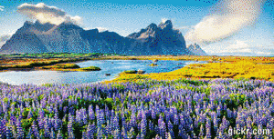 Animated GIF made with Gickr