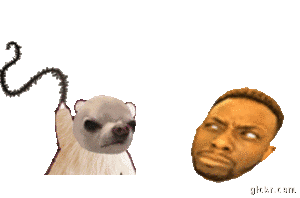 Animated GIF made with Gickr