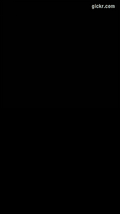 Animated GIF made with Gickr