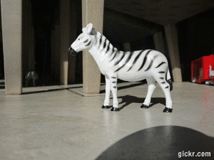 Animated GIF made with Gickr