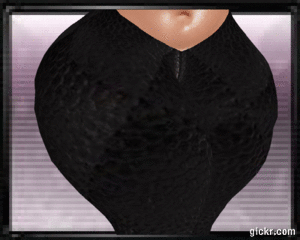 Animated GIF made with Gickr