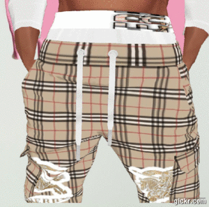 Animated GIF made with Gickr