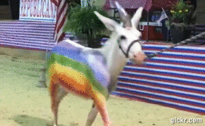 Animated GIF made with Gickr