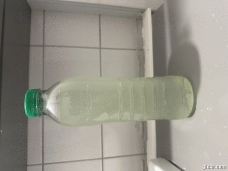 Animated GIF made with Gickr