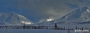 Animated GIF made with Gickr