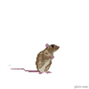 Animated GIF made with Gickr