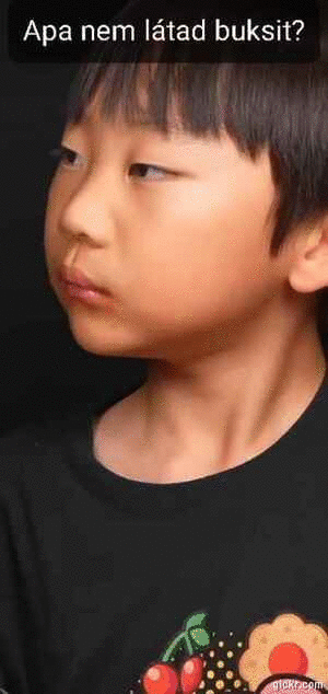 Animated GIF made with Gickr