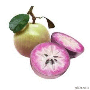 Animated GIF made with Gickr