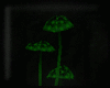 Animated GIF made with Gickr