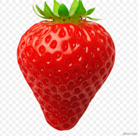 Animated GIF made with Gickr