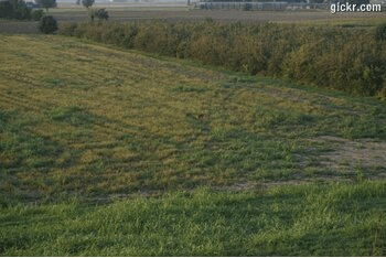 Animated GIF made with Gickr