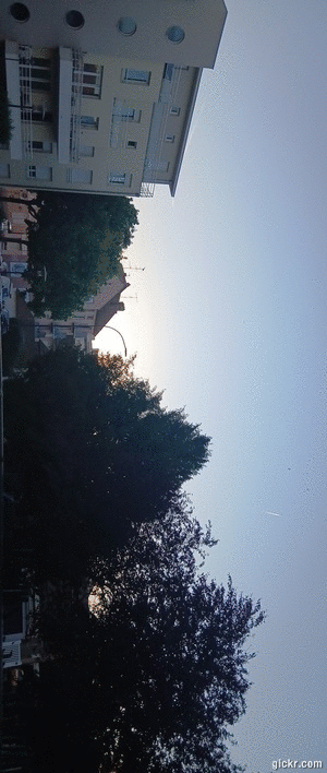 Animated GIF made with Gickr