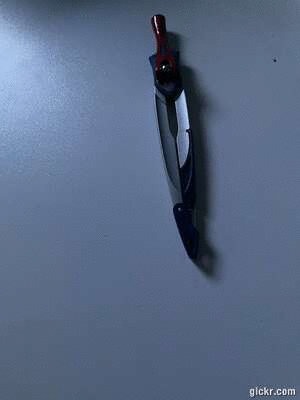 Animated GIF made with Gickr