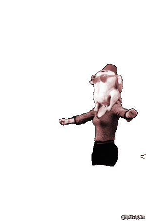 Animated GIF made with Gickr