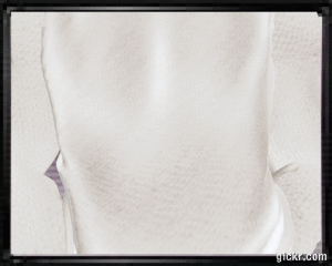 Animated GIF made with Gickr
