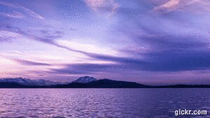 Animated GIF made with Gickr