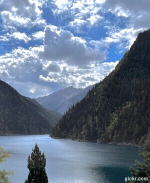 Animated GIF made with Gickr