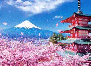 Animated GIF made with Gickr