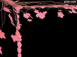 Animated GIF made with Gickr