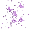 Animated GIF made with Gickr