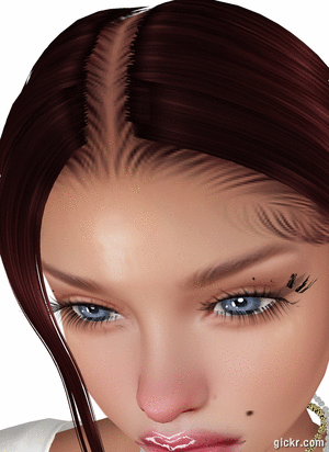 Animated GIF made with Gickr