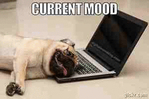 Animated GIF made with Gickr