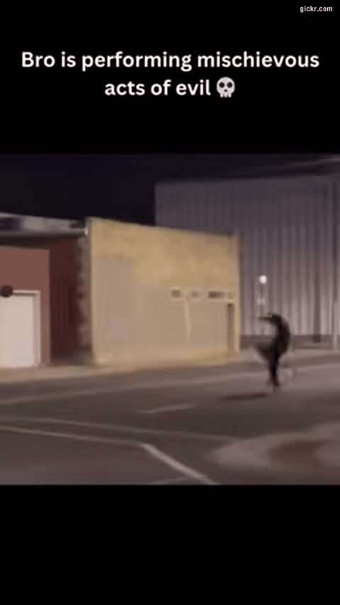 Animated GIF made with Gickr