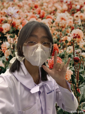 Animated GIF made with Gickr