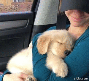 Animated GIF made with Gickr