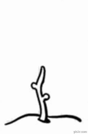 Animated GIF made with Gickr