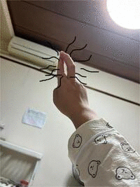 Animated GIF made with Gickr
