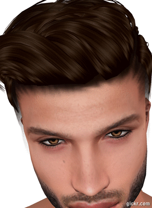 Animated GIF made with Gickr