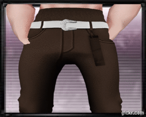 Animated GIF made with Gickr