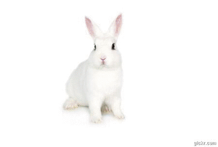 Animated GIF made with Gickr