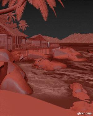 Animated GIF made with Gickr