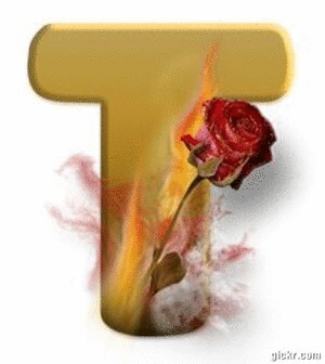 Animated GIF made with Gickr