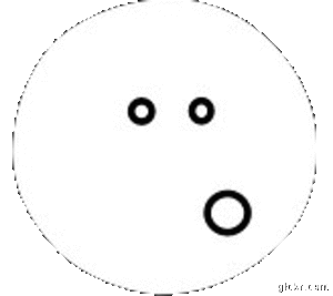 Animated GIF made with Gickr