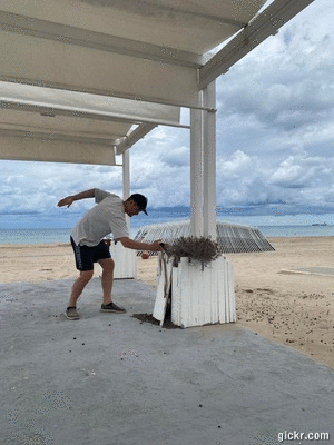 Animated GIF made with Gickr