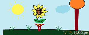 Animated GIF made with Gickr