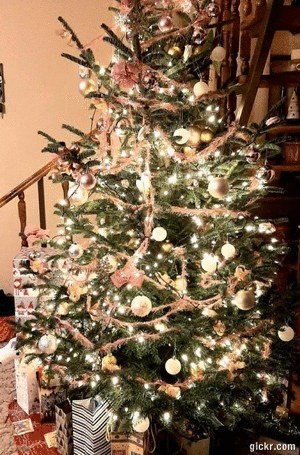 Animated GIF made with Gickr