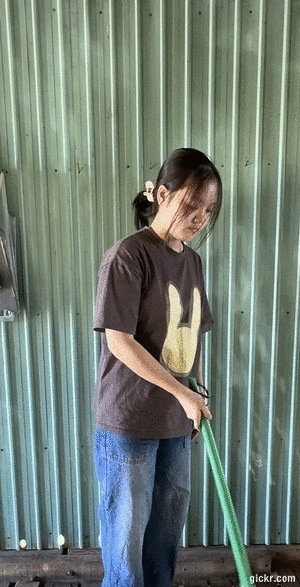 Animated GIF made with Gickr