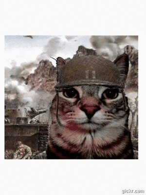 Animated GIF made with Gickr