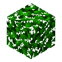 Animated GIF made with Gickr