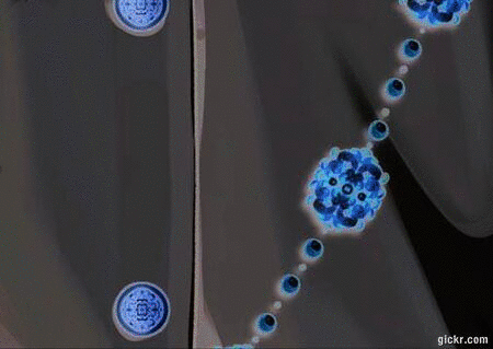 Animated GIF made with Gickr