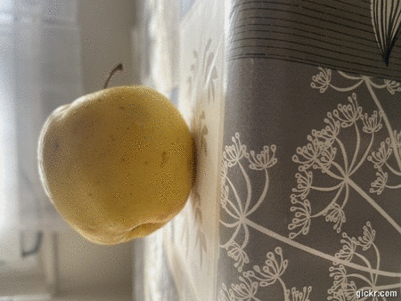 Animated GIF made with Gickr