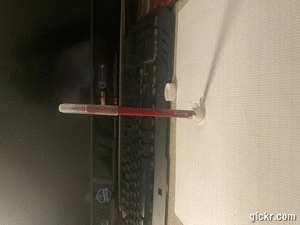 Animated GIF made with Gickr