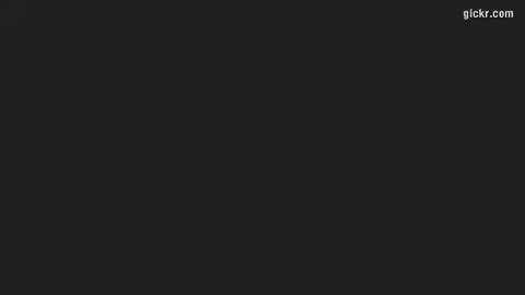 Animated GIF made with Gickr
