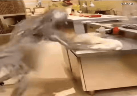 Animated GIF made with Gickr